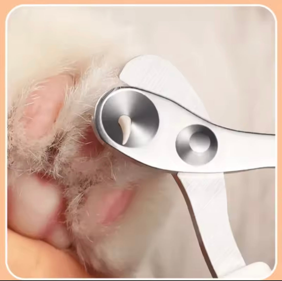 Professional Pet Nail Clippers – Stainless Steel Trimmer for Cats, Small Dogs & Puppies